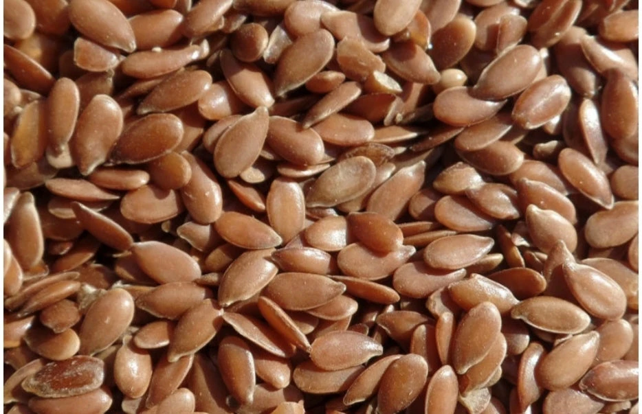 Lijnzaad Bruin 5kg(Lijnzaad Bruin 5kg) 1 Lijnzaad Bruin 5kg(Lijnzaad Bruin 5kg)