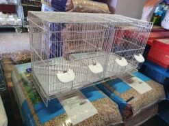 Witte Kweek Kooi Stapelbaar 60x25x35 ( 1 Doos 6 Stuks ) -Birdshop Christina 20200626 150635 d32765de 51aa 4792 8679 c42aa9e4ed7d