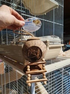 Coconut Hut 28 X 5 X 5 X 13 Cm