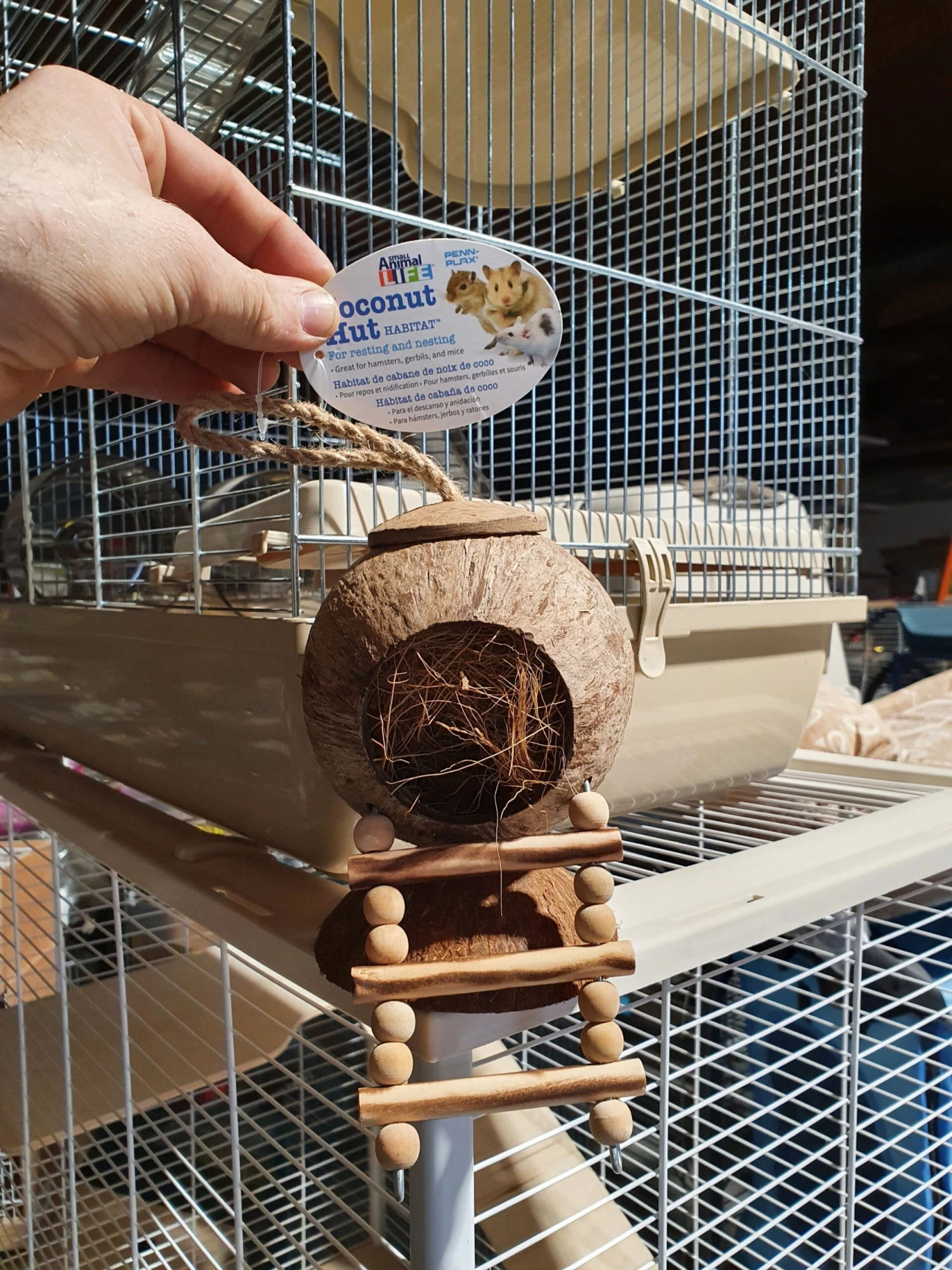 Coconut Hut 28 X 5 X 5 X 13 Cm 1 Coconut Hut 28 X 5 X 5 X 13 Cm