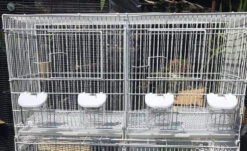 Witte Kweek Kooi Stapelbaar 60x25x35 ( 1 Doos 6 Stuks ) -Birdshop Christina 20210110 190902 5351a84a 120d 45a4 b088 6aee7359d834