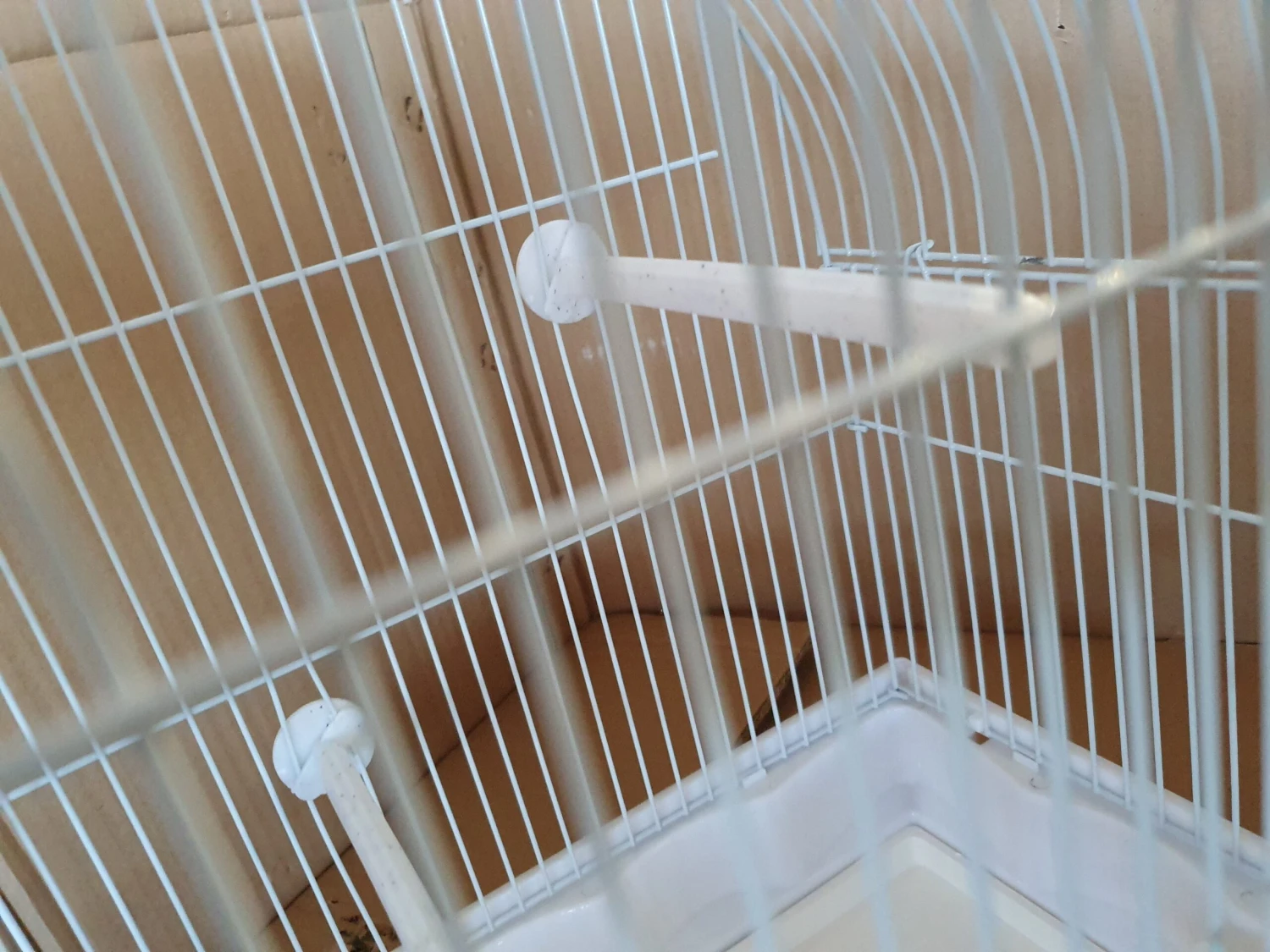 Vogel Kooi / Cage 6 Vogel Kooi / Cage - Afbeelding 6