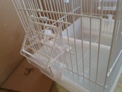 Witte Transport Kooi 29x20x30 -Birdshop Christina 20211024 125951