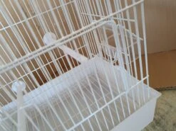 Witte Transport Kooi 29x20x30 -Birdshop Christina 20211024 125954