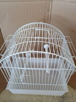 Witte Transport Kooi 29x20x30 -Birdshop Christina 20211024 130127