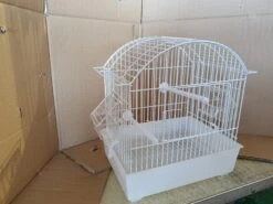 Witte Transport Kooi 29x20x30 -Birdshop Christina 20211024 130146