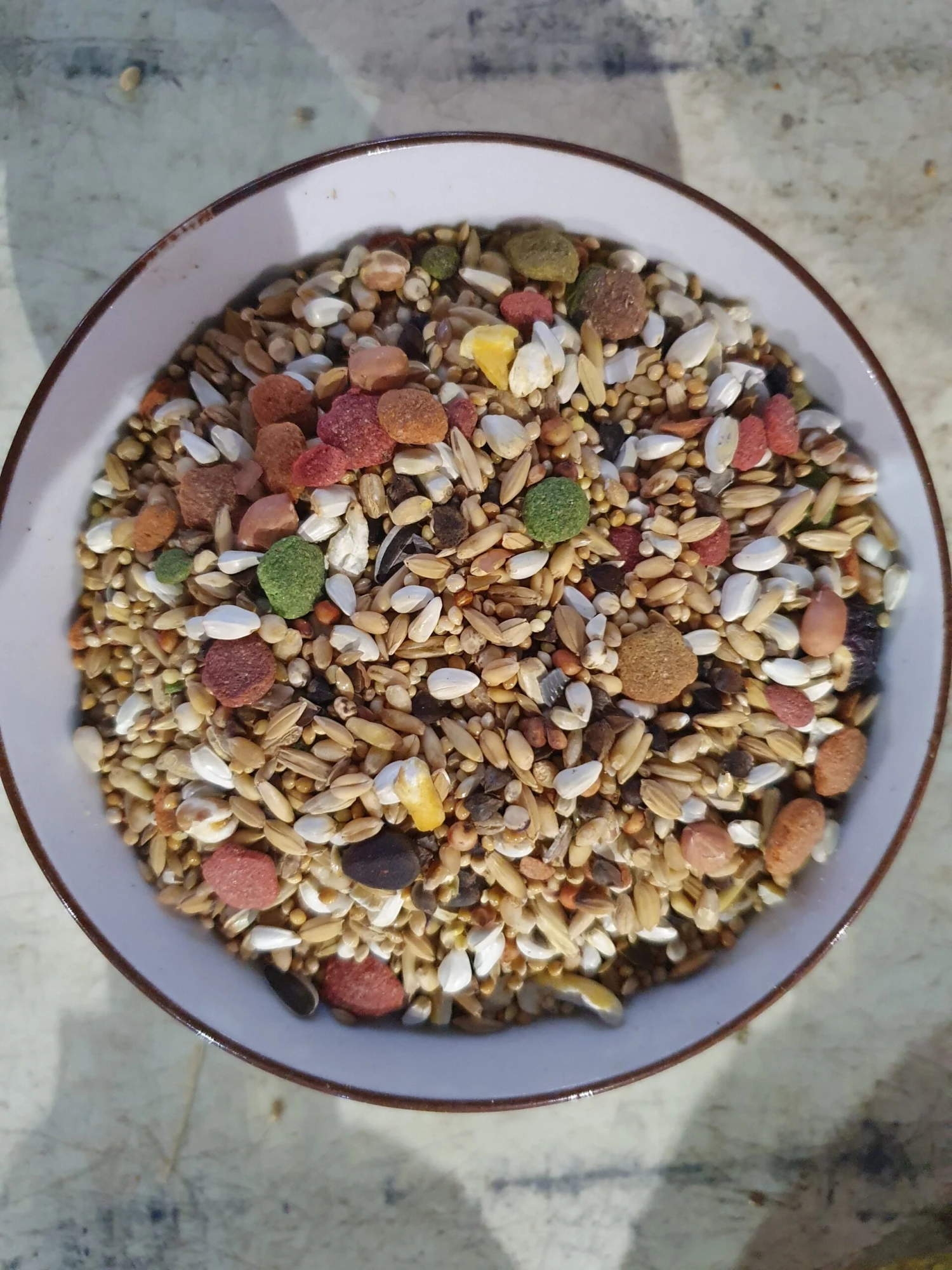 Prestige Loro Parque Australian Parrot Mix 15kg - Versele Laga(Loro Parque Australian Parrot Mix 15kg) 2 Prestige Loro Parque Australian Parrot Mix 15kg - Versele Laga(Loro Parque Australian Parrot Mix 15kg) - Afbeelding 2