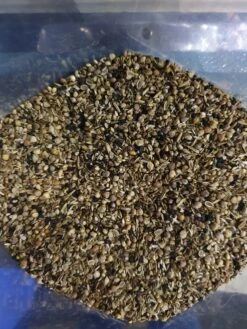 Gezondheidszaden Vadigran 14kg(Gezondheidszaden Vadigran 14kg) 9 Gezondheidszaden Vadigran 14kg(Gezondheidszaden Vadigran 14kg) -Birdshop Christina 20220206 084159 d0e11907 77d3 4ba8 96b2 38c437e74fde