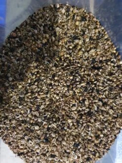 Gezondheidszaden Vadigran 14kg(Gezondheidszaden Vadigran 14kg) 8 Gezondheidszaden Vadigran 14kg(Gezondheidszaden Vadigran 14kg) -Birdshop Christina 20220206 084203 511cdcaa 5266 4443 bb5e db238a5b0447