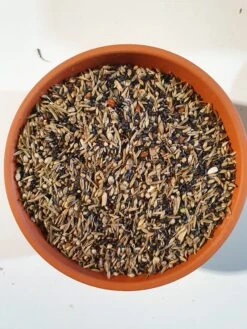 Sijs En Distelvinken Speciaal Mix 5kg - Duvo+(Kopie Van Sijs En Distelvinken Speciaal Mix 5kg Duvo) -Birdshop Christina 20220211 150742 2e6eaec1 97b0 42b7 b7aa 4ab1838e392b