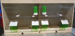 Houten Kweekkooi, Met Klepjes/Eetpotten 80x40x30cm -Birdshop Christina 20220220 075626 192a9f2f 7aa8 4937 9968 3deb7e2d665f