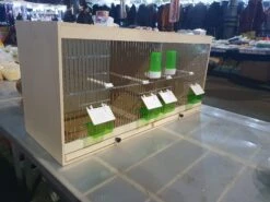 Houten Kweekkooi, Met Klepjes/Eetpotten 80x40x30cm -Birdshop Christina 20220220 075631