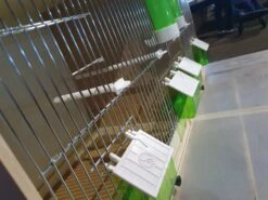 Houten Kweekkooi, Met Klepjes/Eetpotten 80x40x30cm -Birdshop Christina 20220220 075638