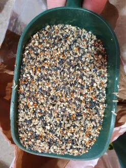 Gezondheidszaden 1kg Duvo+(Duvo Gezondheid Zaden 1kg) -Birdshop Christina 20220503 151507 0266435e cafa 41f0 bb49 e3590ab829d5