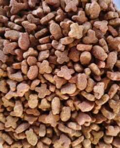 Regular Menu Kat 1kg | Duvo+ ( Zelf Verpakt ) -Birdshop Christina 20220515 092409 ff84d85e 80db 4ab4 9baf 3e22501637f9