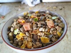 Nature Ratten Voeding - Versele Laga -Birdshop Christina 20220515 141729