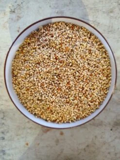 VADIGRAN TROPISCHE VOGELS BASIC 20 KG(Vadigran Tropische Vogels Basic 20 Kg) -Birdshop Christina 20220522 102244