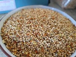 VADIGRAN TROPISCHE VOGELS BASIC 20 KG(Vadigran Tropische Vogels Basic 20 Kg) -Birdshop Christina 20220522 102257