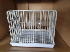 Transport Kooi Wit ( Mini ) -Birdshop Christina 20220522 144828