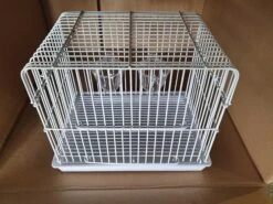Transport Kooi Wit ( Mini ) -Birdshop Christina 20220522 144834