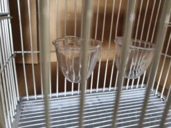 Transport Kooi Wit ( Mini ) -Birdshop Christina 20220522 144837