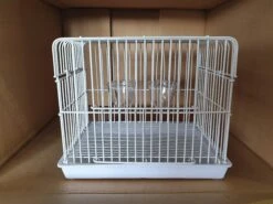 Transport Kooi Wit ( Mini )