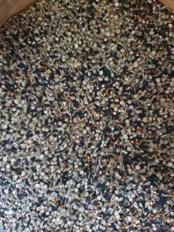 Gezondheidszaden 1kg Duvo+(Duvo Gezondheid Zaden 1kg) -Birdshop Christina 20220605 094224