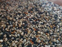 Gezondheidzaden 5kg Duvo+(Kopie Van Gezondheid Zaden 1kg Duvo) -Birdshop Christina 20220605 094240 49d57c84 ba25 491c bd75 dfee09b1aee1