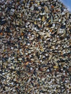 Sijzen En Distelvinken Mix 15kg - Vadigran(Vogel Voer Vogelvoer Vadigran Sijsjes Distelvinken 800g Vogelvoer Vadigran Sijsjes Distelvinken 800g) -Birdshop Christina 20220605 125210 c5eacb04 09a3 4e7f a204 d534169428be