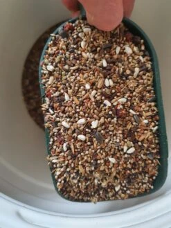 Goudvinken Oom Freddy 1kg - Hobbyfarm Hoebregts(Kopie Van Goudvinken Oom Freddy 1kg Hobbyfarm Hoebregts)