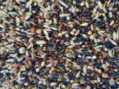 Wildzang Pro Bird-X 5 X 1kg(Kopie Van Wildzang Pro Bird X 1kg) -Birdshop Christina 20220828 084257 915ca258 f0d8 42bc bb69 851da11e375f