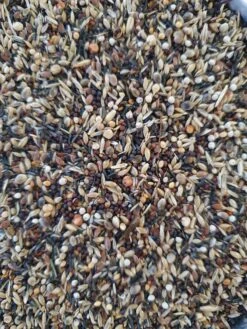 Sijs Distelvink/Putters Pro Bird 5 X 1kg(Kopie Van Sijs Distelvink Putters Pro Bird 1kg) -Birdshop Christina 20220828 084831 525496a7 599a 42a4 ad4a 632352c2e83b