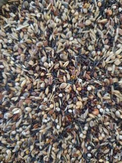 Sijs Distelvink/Putters Pro Bird 5 X 1kg(Kopie Van Sijs Distelvink Putters Pro Bird 1kg) -Birdshop Christina 20220828 084844 83936146 b678 4e40 a986 680ba698cea6