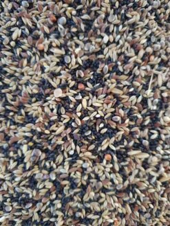 Putters & Sijsjes Basis Bird-X Mix 5 X 1kg(Putters Sijsjes Basis Bird X Mix 5 X 1kg) -Birdshop Christina 20220828 102001 a66201b3 f332 438b 8b6f b0e0888b7847