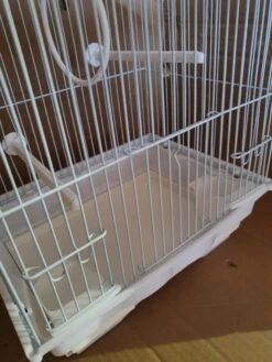 Kleine Witte Kooi -Birdshop Christina 20221009 133817