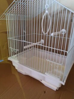 Kleine Witte Kooi -Birdshop Christina 20221009 133824