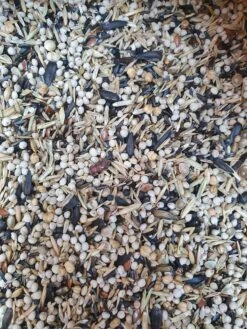 Europese En Amerikaanse Sijzen 5kg - Hobbyfarm Hoebregts(Hoebregts Hobbyfarm Europese En Amerikaanse Sijzen)