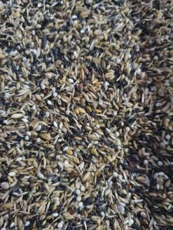 Prestige Blattner Distelvink 15kg - Versele Laga(Versele Laga Prestige Blattner Distelvink 15kg) 5 Prestige Blattner Distelvink 15kg - Versele Laga(Versele Laga Prestige Blattner Distelvink 15kg) -Birdshop Christina 20230305 104934