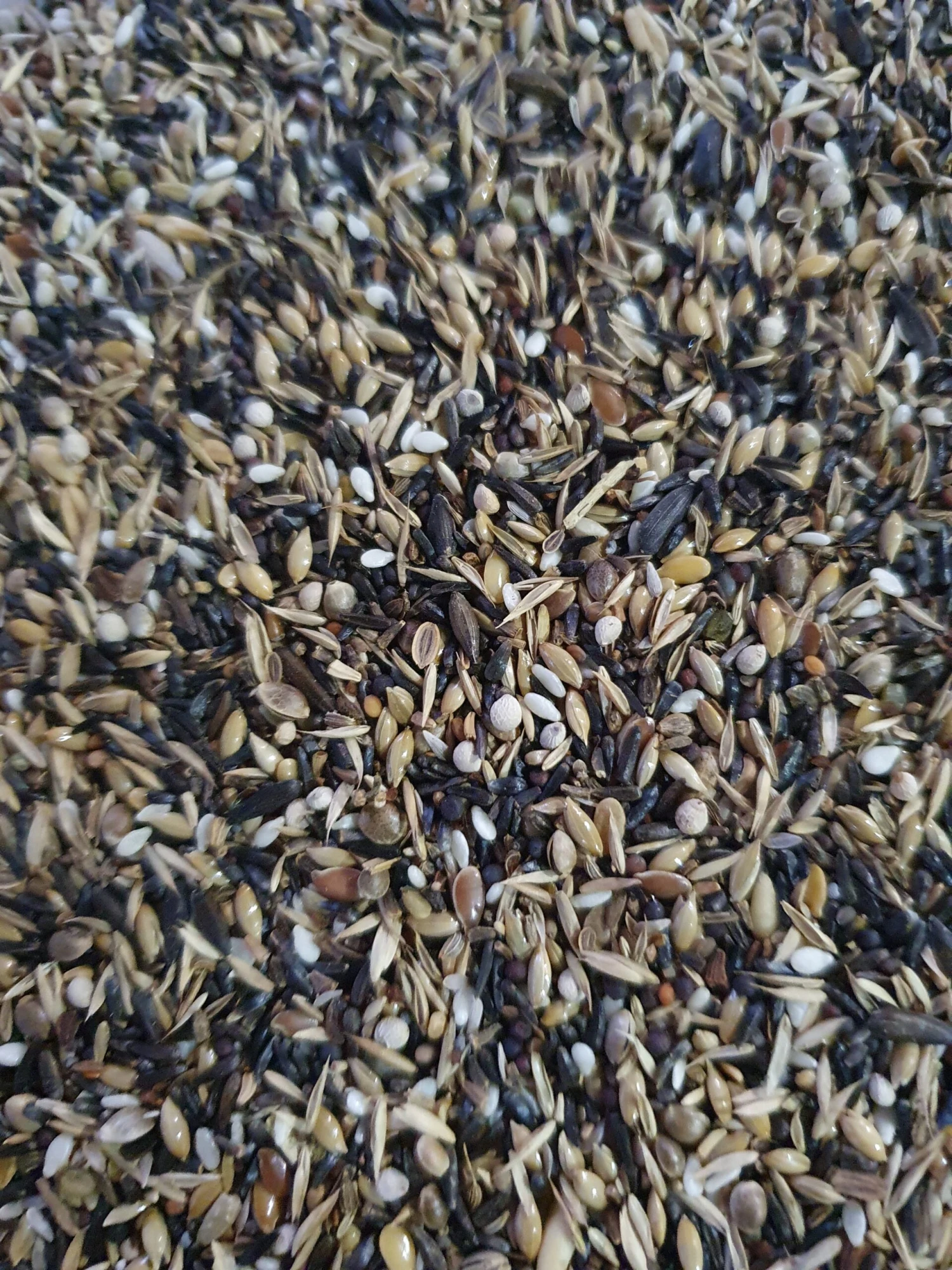 Prestige Blattner Distelvink 15kg - Versele Laga(Versele Laga Prestige Blattner Distelvink 15kg) 2 Prestige Blattner Distelvink 15kg - Versele Laga(Versele Laga Prestige Blattner Distelvink 15kg) - Afbeelding 2