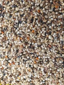 Super RE Distelvinken 5kg - Hobbyfarm Hoebregts(Kopie Van Super R E Distelvinken Hobbyfarm Hoebregts) -Birdshop Christina 20230306 142106