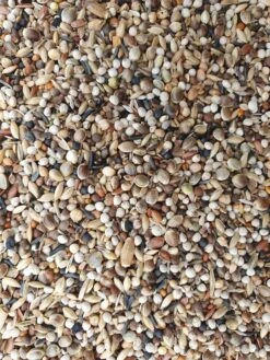 Super RE Distelvinken 1kg - Hobbyfarm Hoebregts(Kopie Van Super R E Distelvinken 5kg Hobbyfarm Hoebregts) -Birdshop Christina 20230306 142110