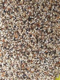 Super RE Distelvinken 5kg - Hobbyfarm Hoebregts(Kopie Van Super R E Distelvinken Hobbyfarm Hoebregts) -Birdshop Christina 20230306 142115