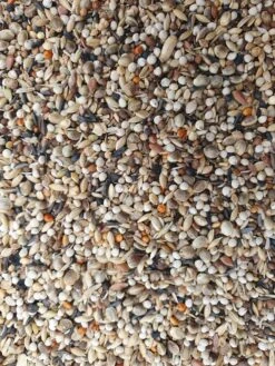 Super RE Distelvinken 1kg - Hobbyfarm Hoebregts(Kopie Van Super R E Distelvinken 5kg Hobbyfarm Hoebregts) -Birdshop Christina 20230306 142127