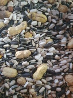 Papegaaien Mix Duvo+ 5kg ( Zelf Verpakt )(Papegaaien Mix Duvo 5kg Zelf Verpakt)