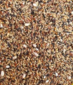Deli Nature 83 Europese Vogels Zonder Raapzaad 1kg(Kopie Van Deli Nature 83 Europese Vogels Zonder Raapzaad 1kg)