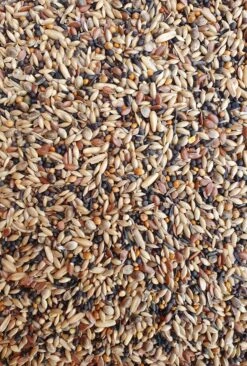 Deli Nature 91 Europese Vogels 2,5kg(Nr 91 Deli Nature Europese Vogels)