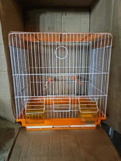 Kooi Kleur 2 Oranje 37 X 42 X 25