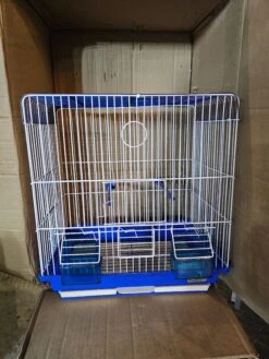 Kooi Kleur 2 Blauw 37 X 42 X 25