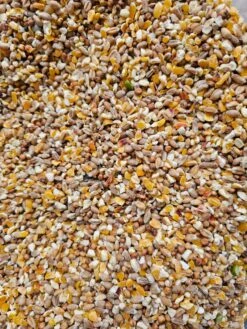 Poeljengraan 5kg - Kippen Voeder - Merkloos