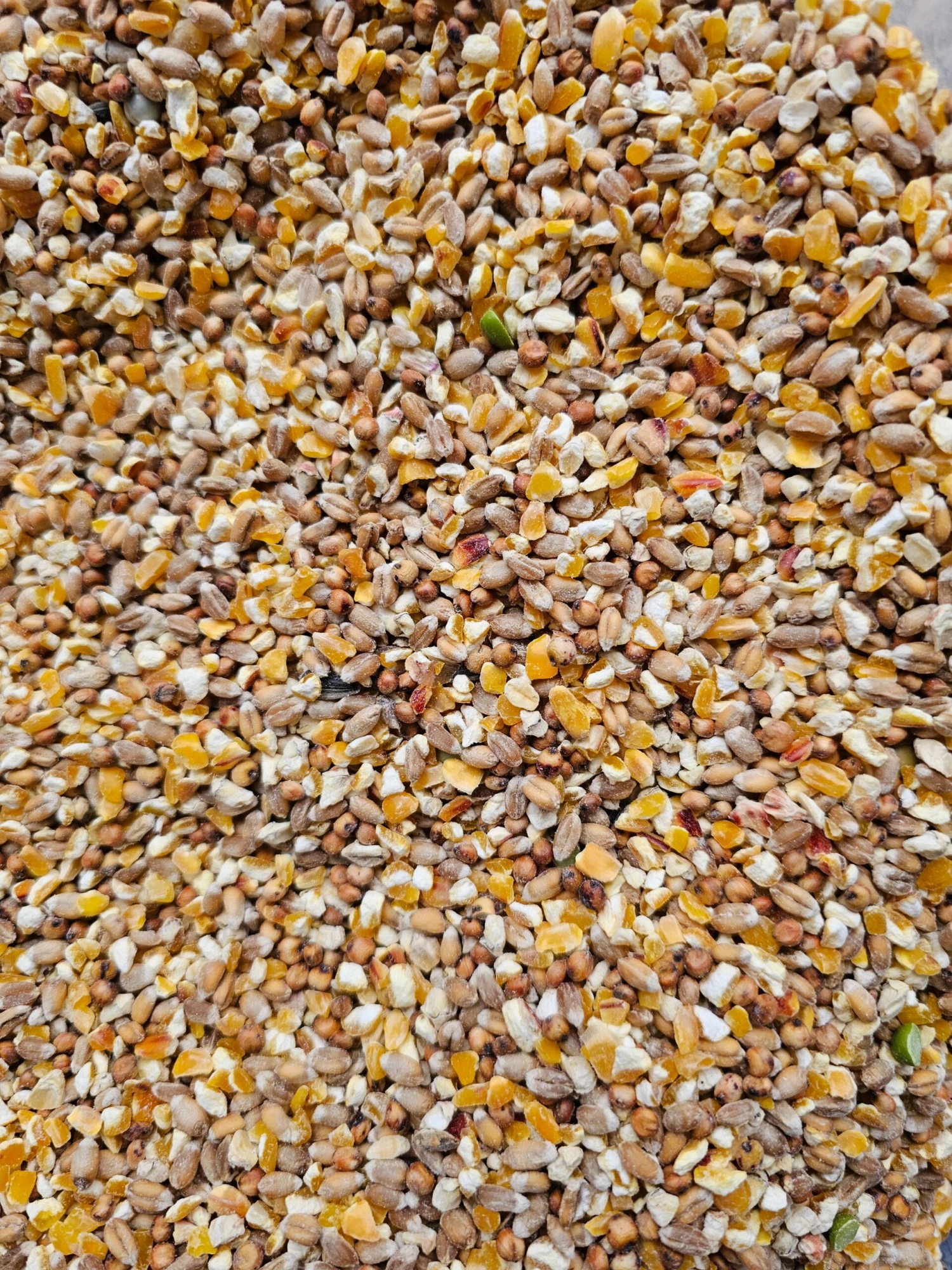 Poeljengraan 5kg - Kippen Voeder - Merkloos 1 Poeljengraan 5kg - Kippen Voeder - Merkloos